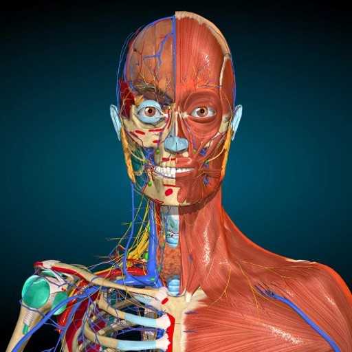 Anatomy & Physiology logo