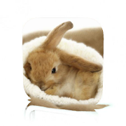 Top 30 Entertainment Apps Like Pet Rabbit Care - Best Alternatives