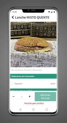 Express Pizzaria e Lanches Screen 2