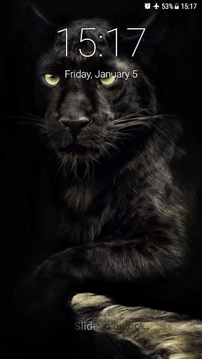 Black Panther Lock Screen Screen 3