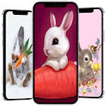 Cover Image of 下载 cute rabbit wallpaper  APK
