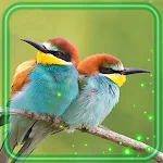 Cover Image of Download Birds Nature Live Wallpaper 1.3 APK