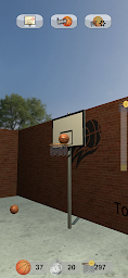 The Basket - Basketball Hoop