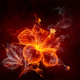 For Xperia Theme Rosefire icon