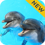 Dolphin Sounds Sleep & Relax icon