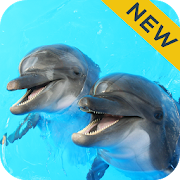 Dolphin Sounds Sleep & Relax  Icon