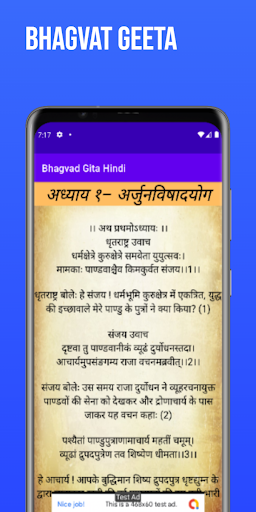 Bhagavad Gita-Hindi Screen 3
