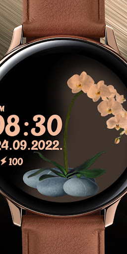 Android application Rose Gold Orchids screenshort