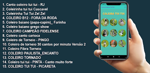 COLEIRO TUI TUI PROFESSOR