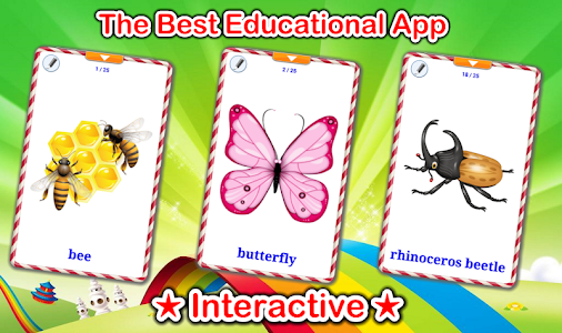 Insects Cards Unknown
