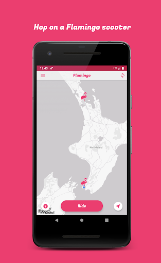Flamingo Scooters Screen 2