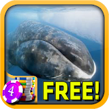 Bowhead Whale Slots - Free icon