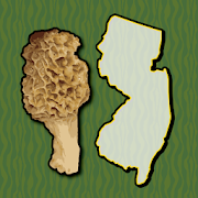 New Jersey Mushroom Forager Map Chanterelles Morel