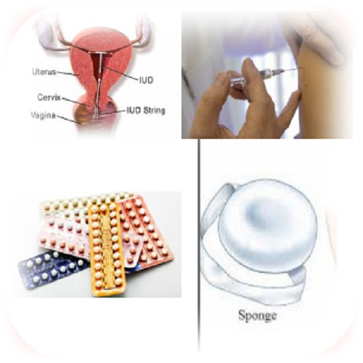 Birth Control Methods  Icon