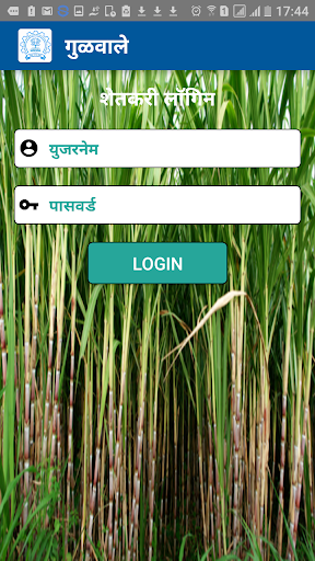 Gulwale Screen 3