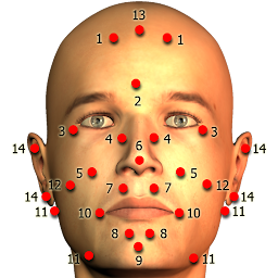 Icon image Massage Body Spots