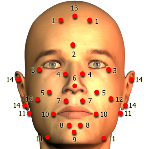 Massage Body Spots