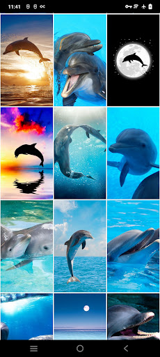 Dolphin Wallpapers Screen 2