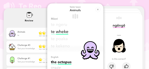 Ka Piki - Learn Te Reo Māori Screen 2