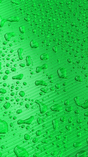 Green Wallpapers Screen 2