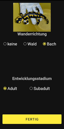 MerkTier Screen 3