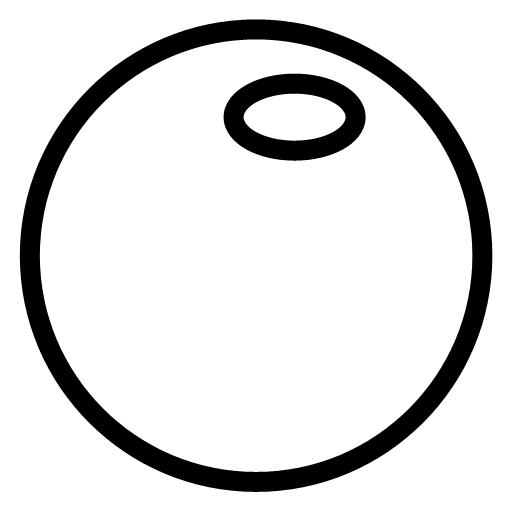 Logo Shoot The Bubble