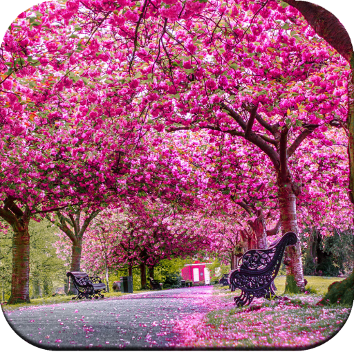 Beautiful Spring Wallpaper 4K logo
