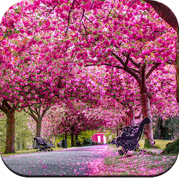 Icon image Beautiful Spring Wallpaper 4K