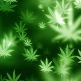 weeds live wallpaper icon