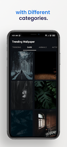 Trending Wallpapers Screen 3