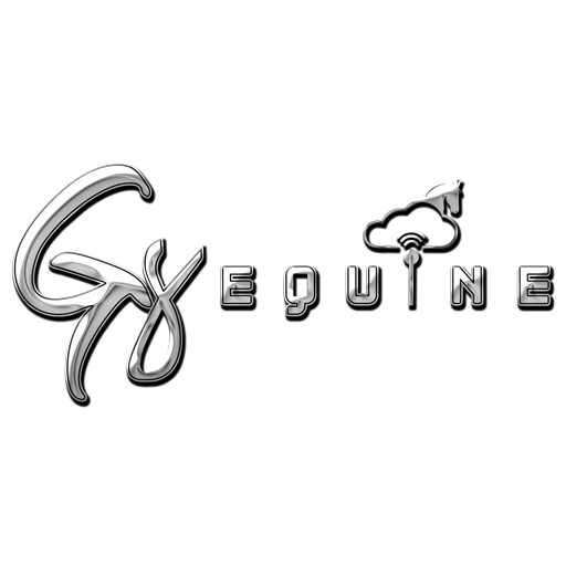 GS Equine Download on Windows
