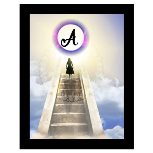APEX ACADEMY logo