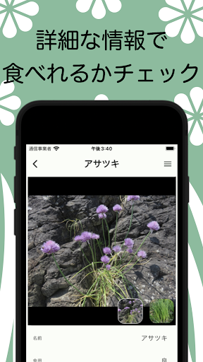 野草図鑑 -山菜・毒草・確認しよう- Screen 2