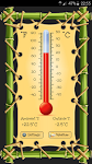 screenshot of Thermometer