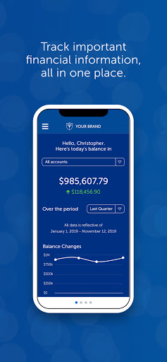 Android application My Financial Advisor -Blueleaf screenshort