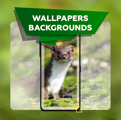 Cute animal picture wallpapers Screen 3