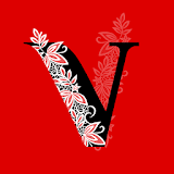 Virtogs icon