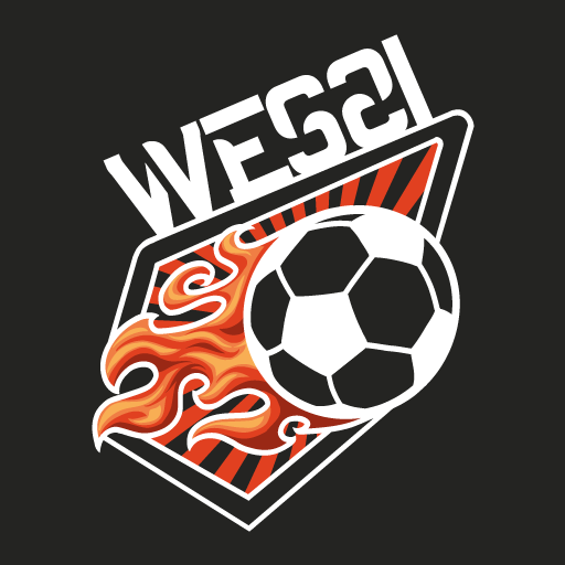 Wessi Betting Tips logo