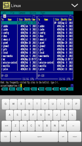 TinyTERM Enterprise Screen 2