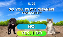 screenshot of Test what cat or dog am I? Ani