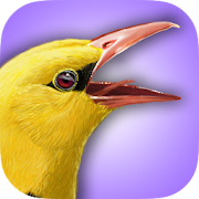 iBird UK Lite Free Bird Guide  Icon