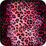 Leopard Print Wallpapers icon