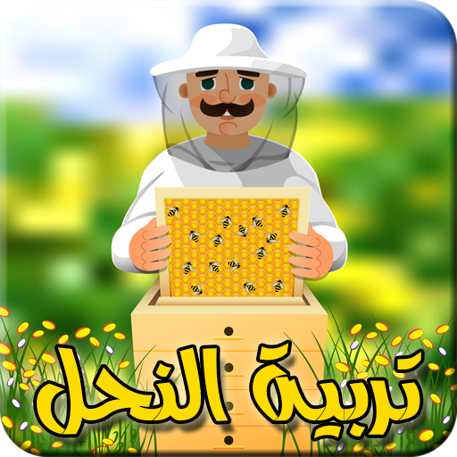 تربية النحل للمبتدئين