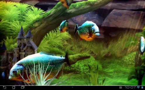 Screenshot dell'Acquario Piranha 3D lwp