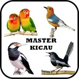 Master Kicau Burung Lengkap icon