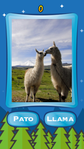 Llama o Pato Screen 3