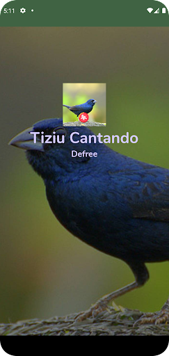 Tiziu Cantando Muito