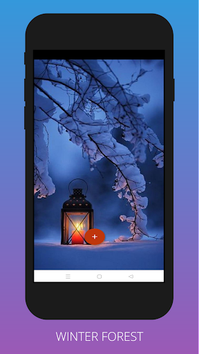 Winter Forest Wallpapers 4K