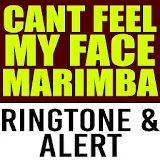 Can't Feel My Face Marimba icon