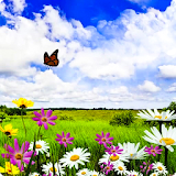 Butterfly Live Wallpaper HD 3 icon